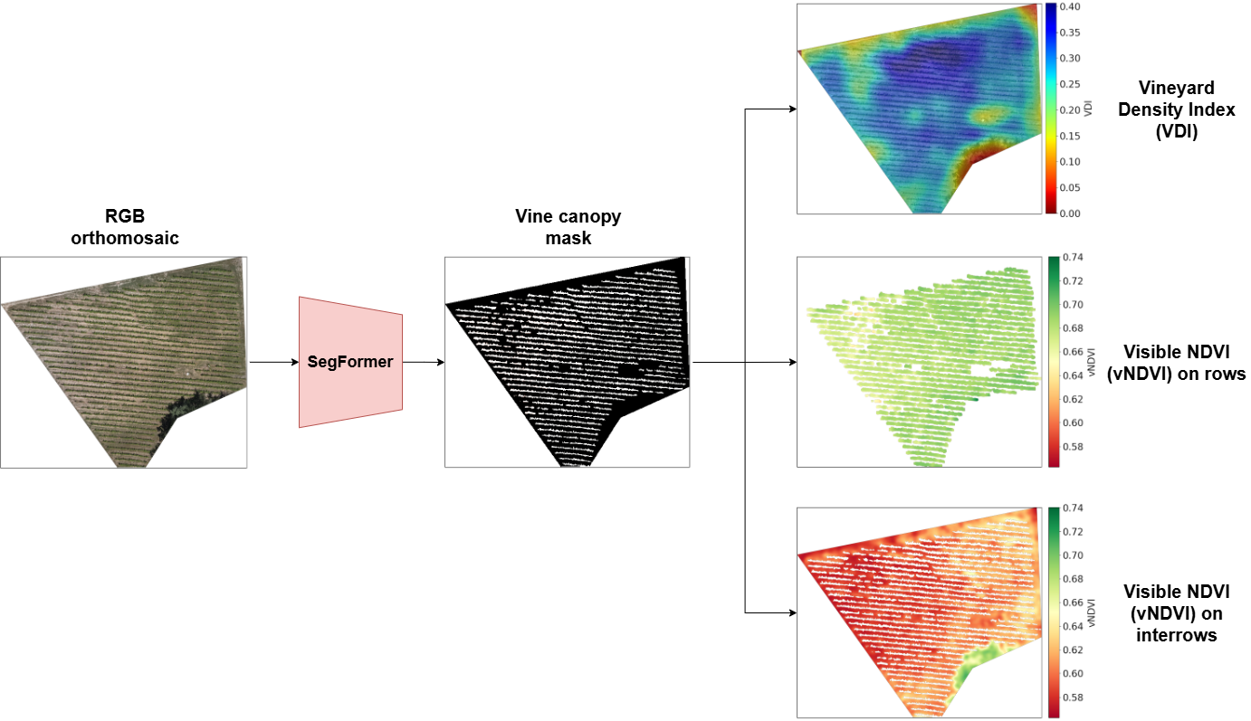 Vineyard canopy segmentation workflow and vegetation index analysis